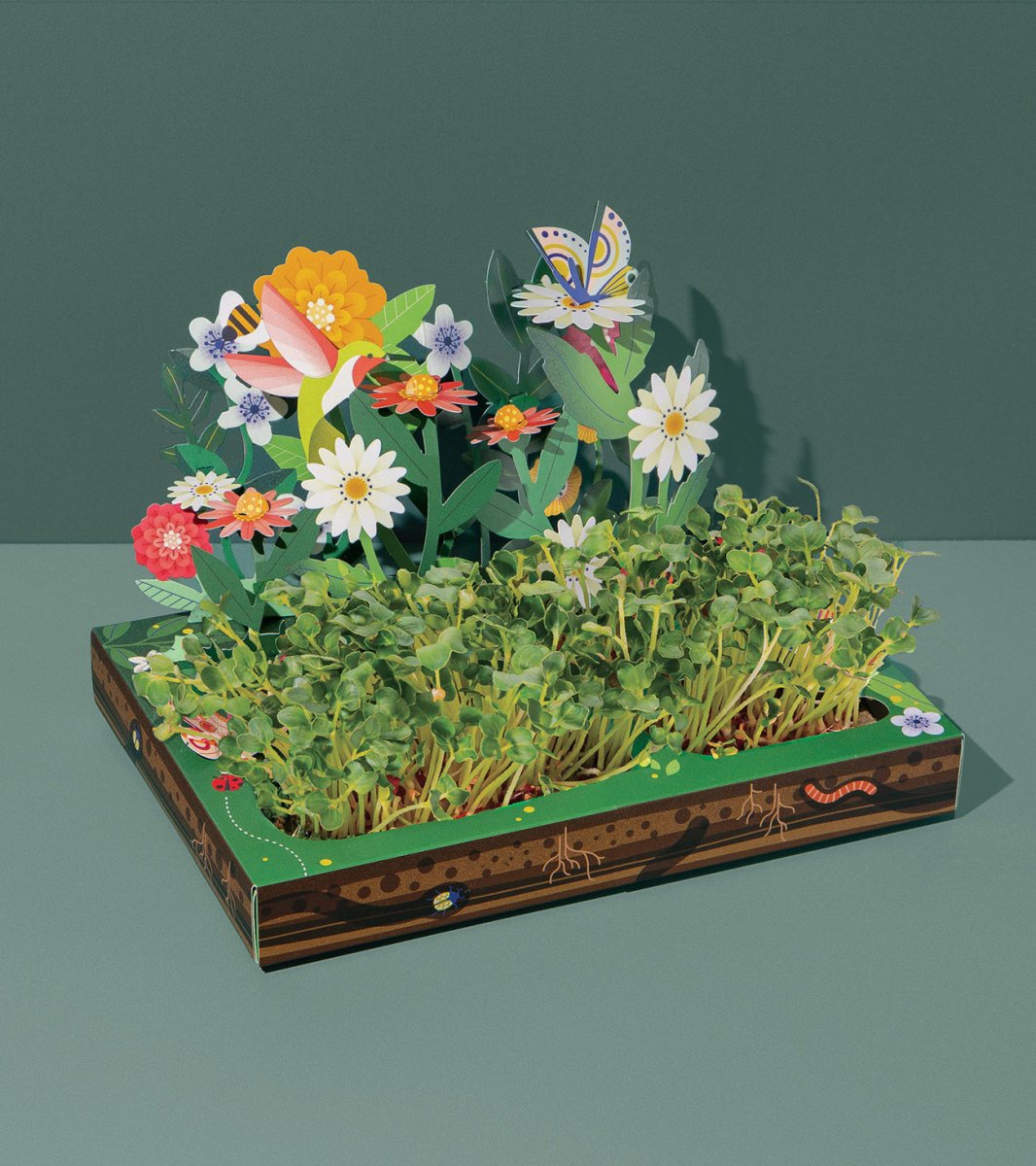  Microgreens Pop-Up Kit