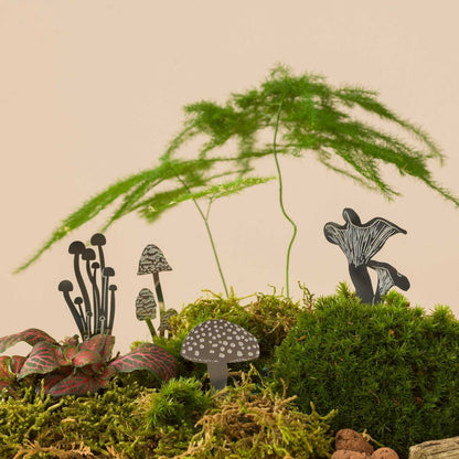  Mini Mushrooms- Terrarium Decor - Steel