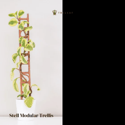  Stella Modular Plant Support & Trellis
