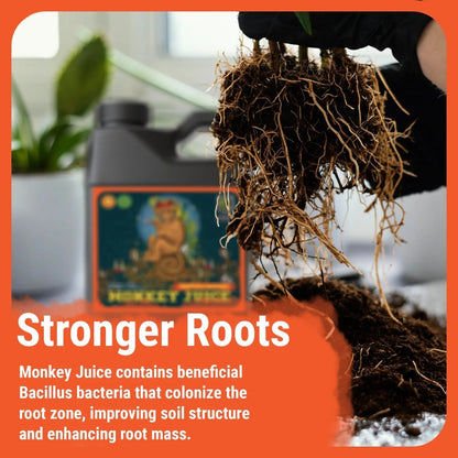  Monkey Juice | Increases Root Health And Nutrient Absorption