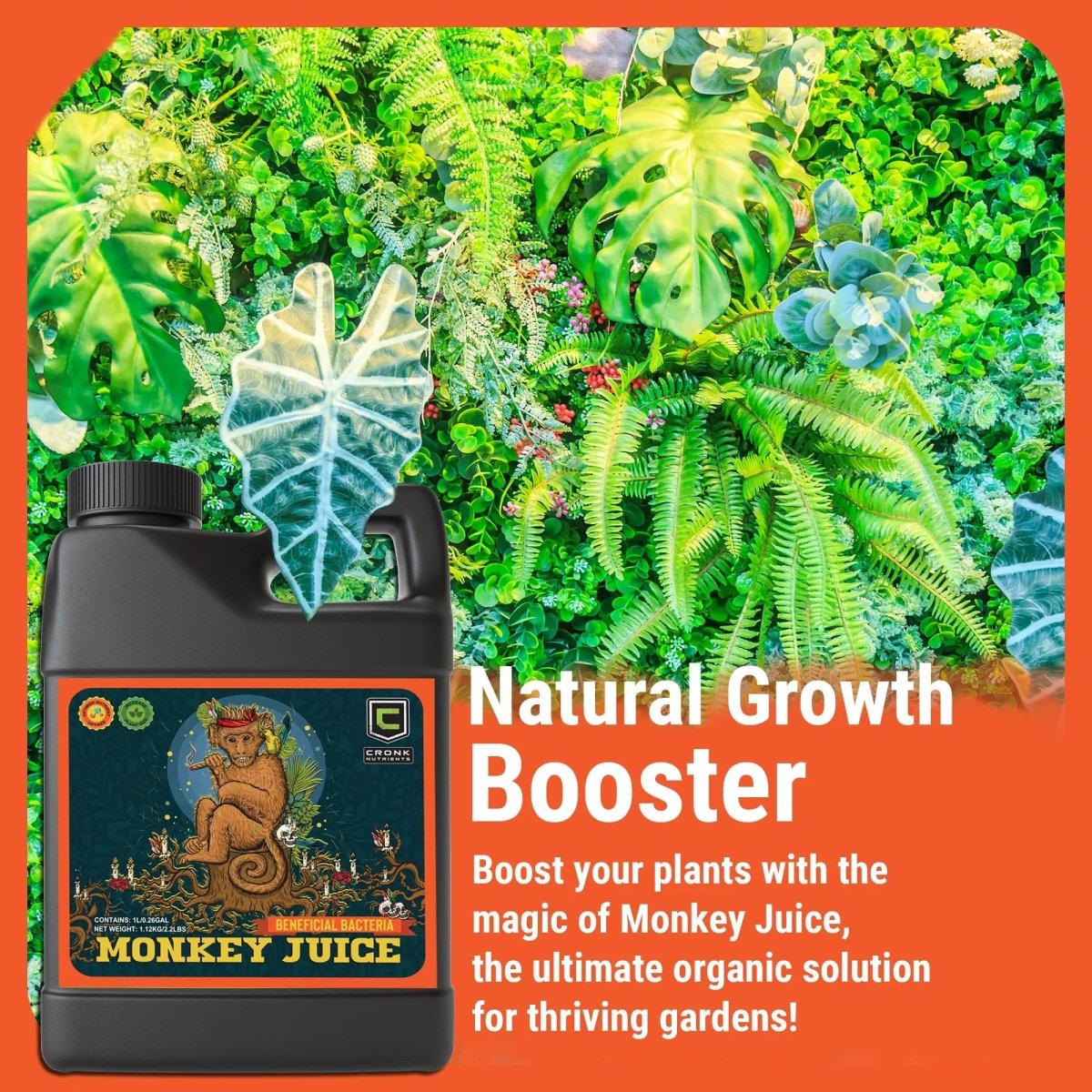  Monkey Juice | Increases Root Health And Nutrient Absorption