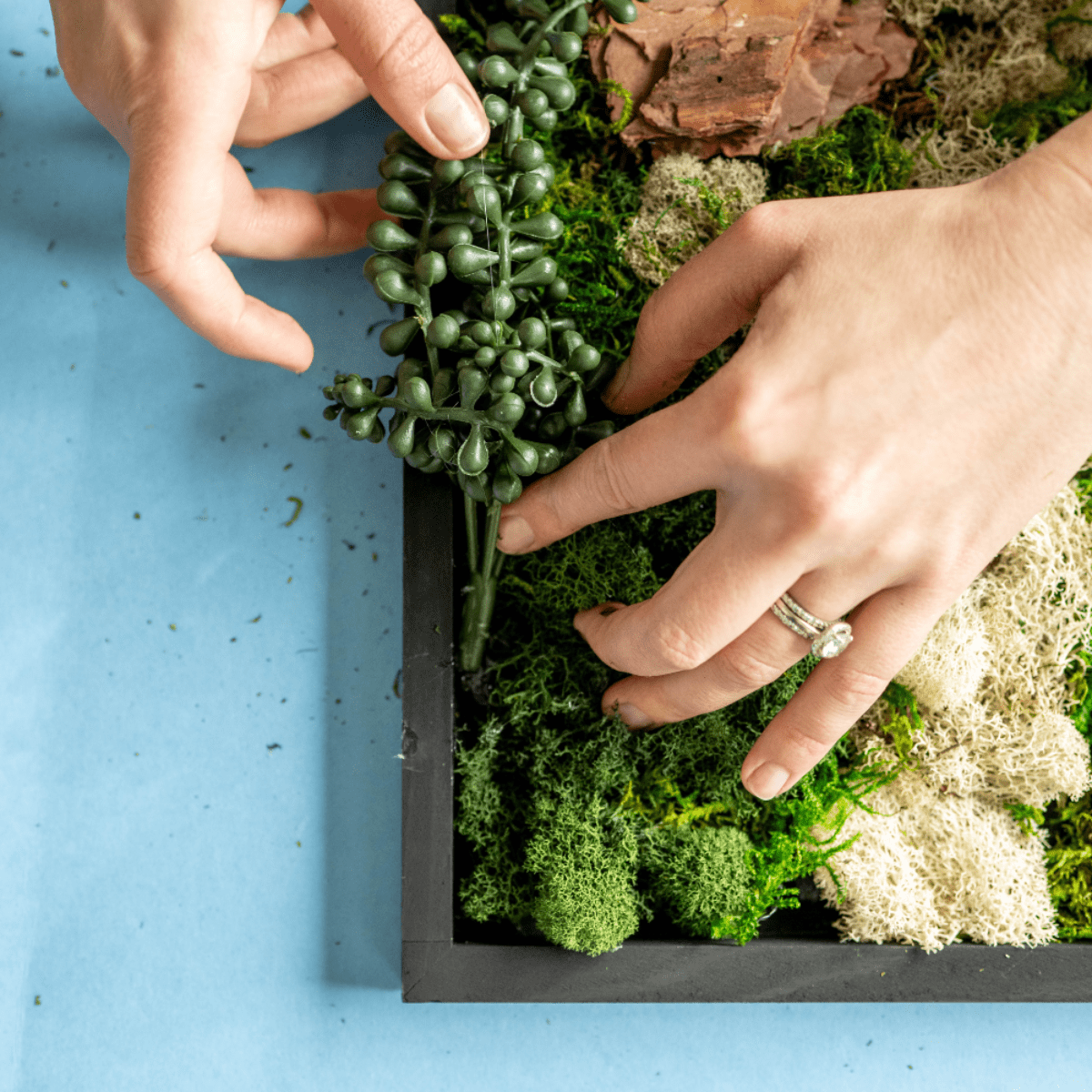  Moss Wall Kit