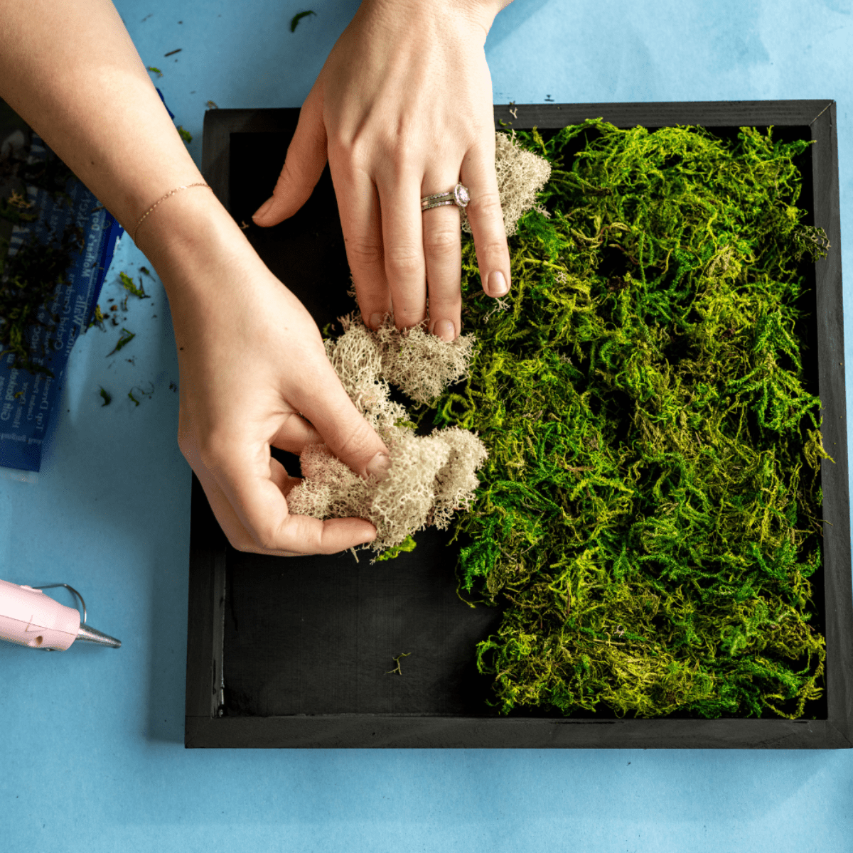  Moss Wall Kit