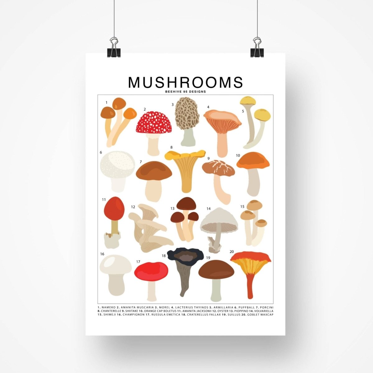  Mushrooms Species ID Chart - Botanical Fungi Art Print