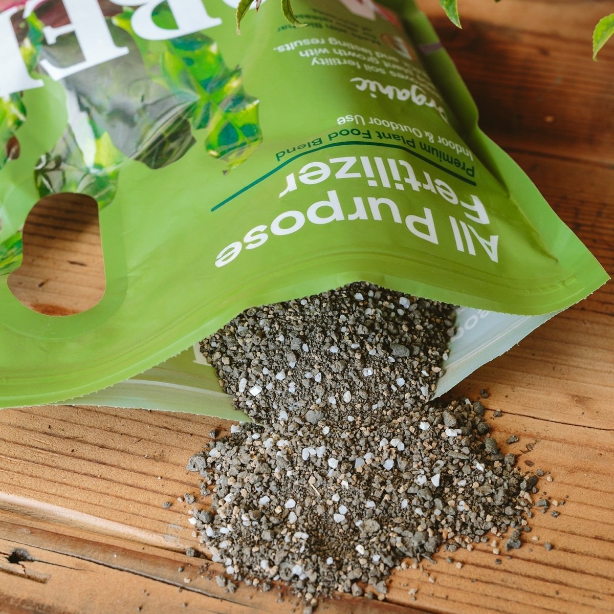  Organic All-Purpose Fertilizer – 3 Lbs | With Biochar For Lasting Results