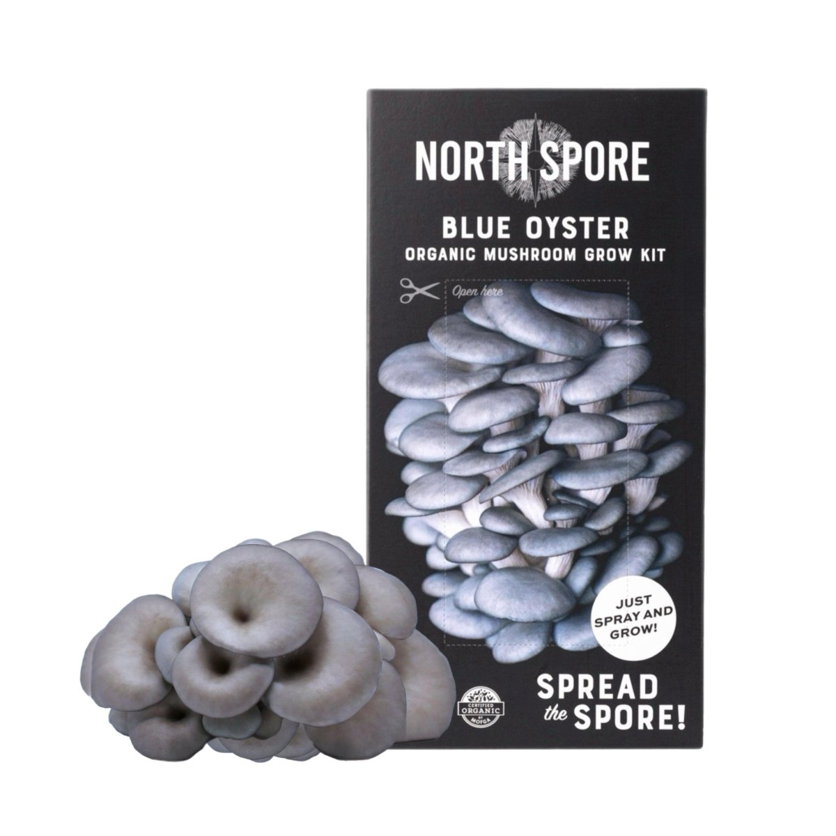  Organic Blue Oyster ‘Spray & Grow’ Mushroom Growing Kit