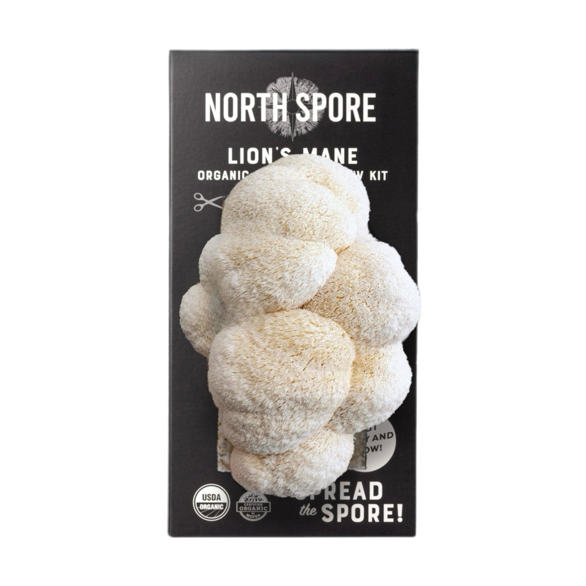  Organic Lion's Mane ‘Spray & Grow’ Mushroom Growing Kit