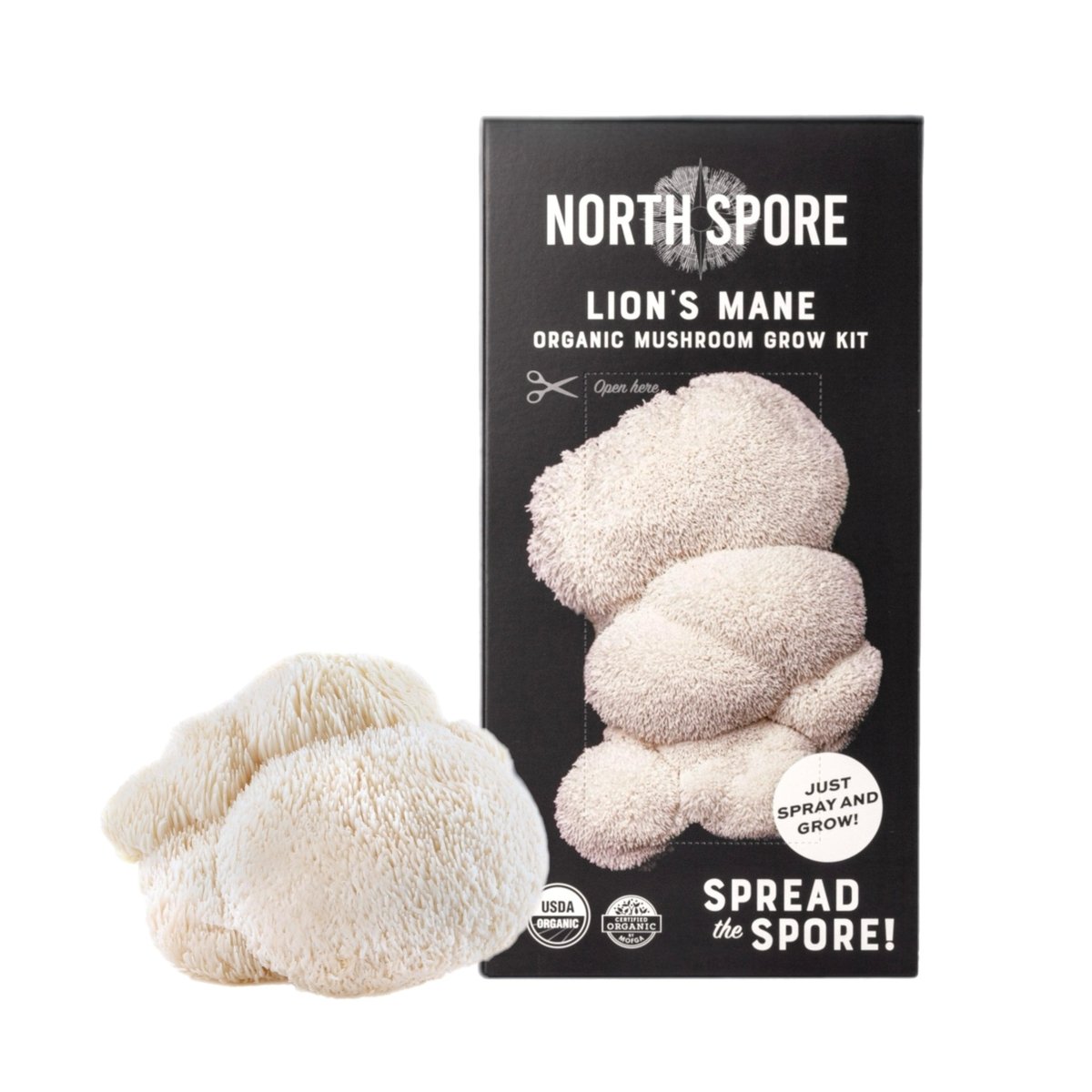  Organic Lion's Mane ‘Spray & Grow’ Mushroom Growing Kit