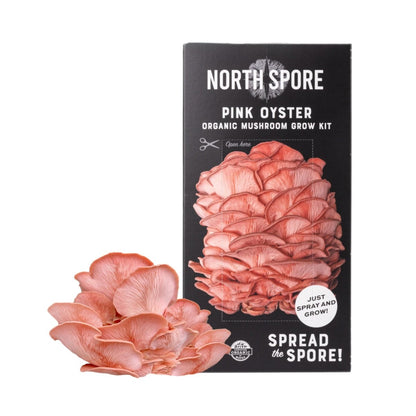  Organic Pink Oyster ‘Spray & Grow’ Mushroom Growing Kit