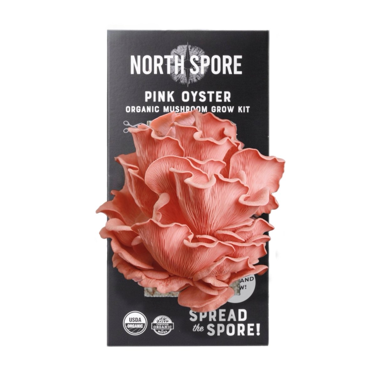  Organic Pink Oyster ‘Spray & Grow’ Mushroom Growing Kit