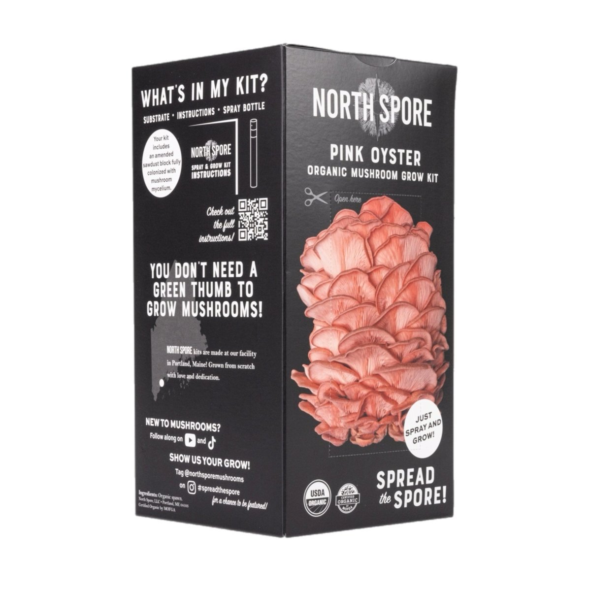  Organic Pink Oyster ‘Spray & Grow’ Mushroom Growing Kit