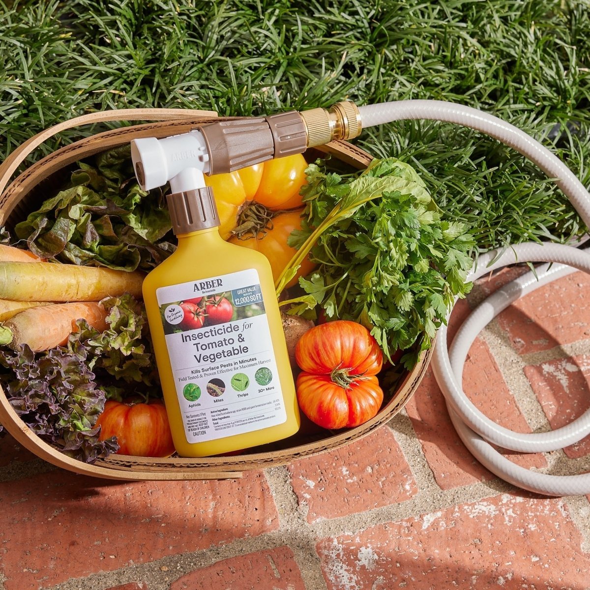  Organic Tomato & Vegetable Insecticide — Ready-to-Spray Concentrate