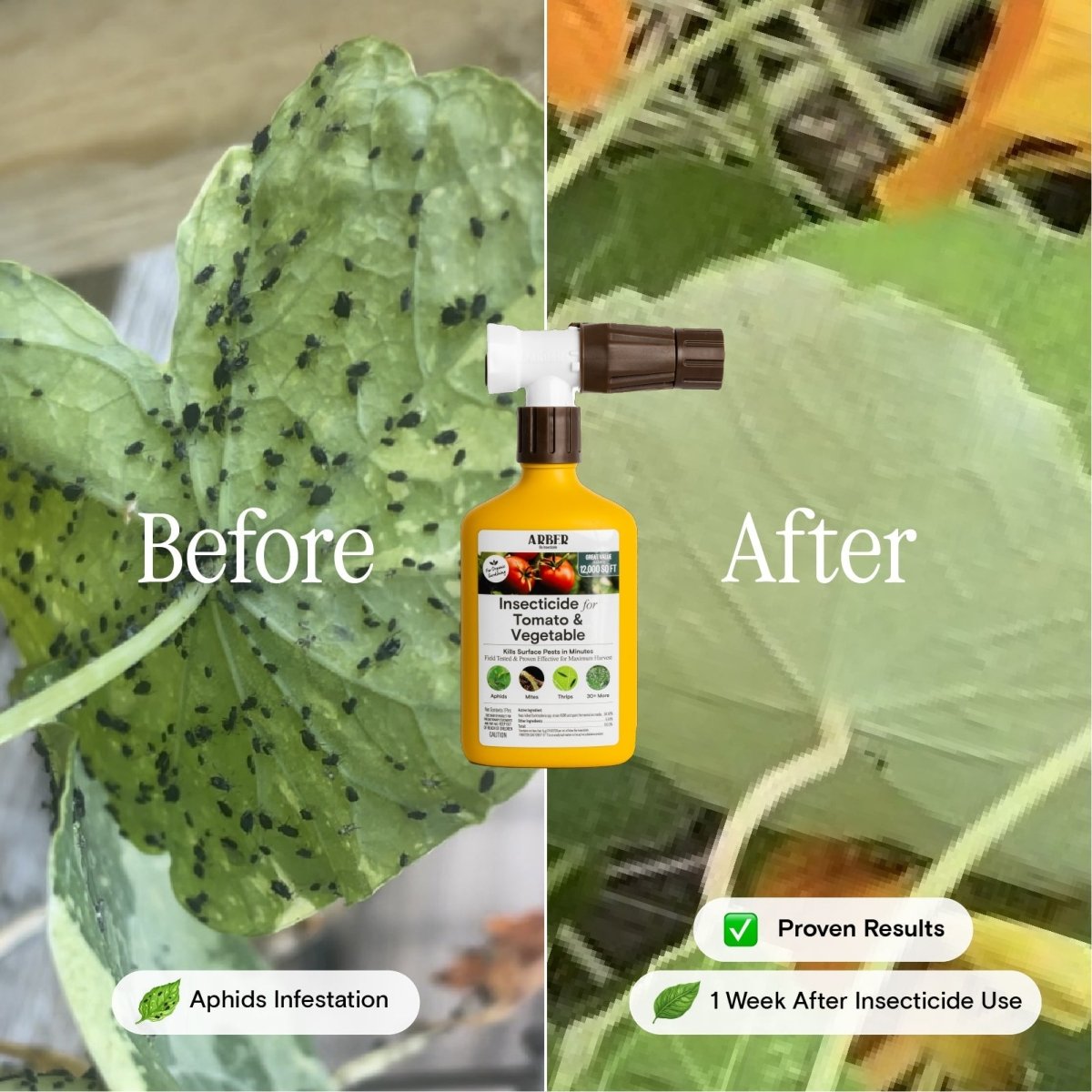  Organic Tomato & Vegetable Insecticide — Ready-to-Spray Concentrate