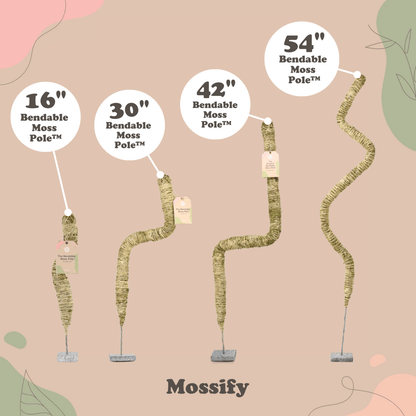  Original Bendable Moss Pole™ By Mossify (16"–54") | Flexible Plant Support