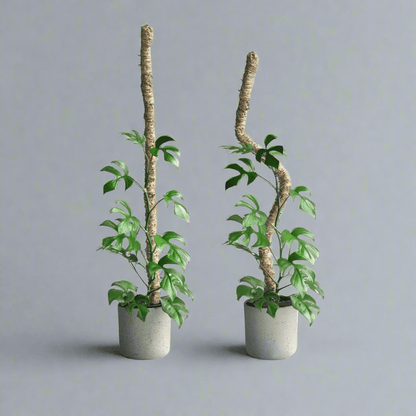  Original Bendable Moss Pole™ By Mossify (16"–54") | Flexible Plant Support