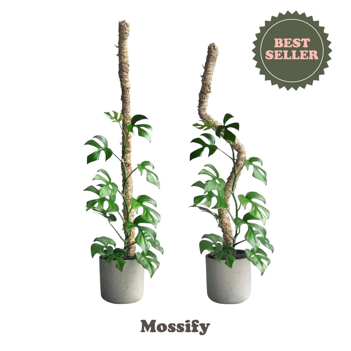  Original Bendable Moss Pole™ By Mossify (16"–54") | Flexible Plant Support
