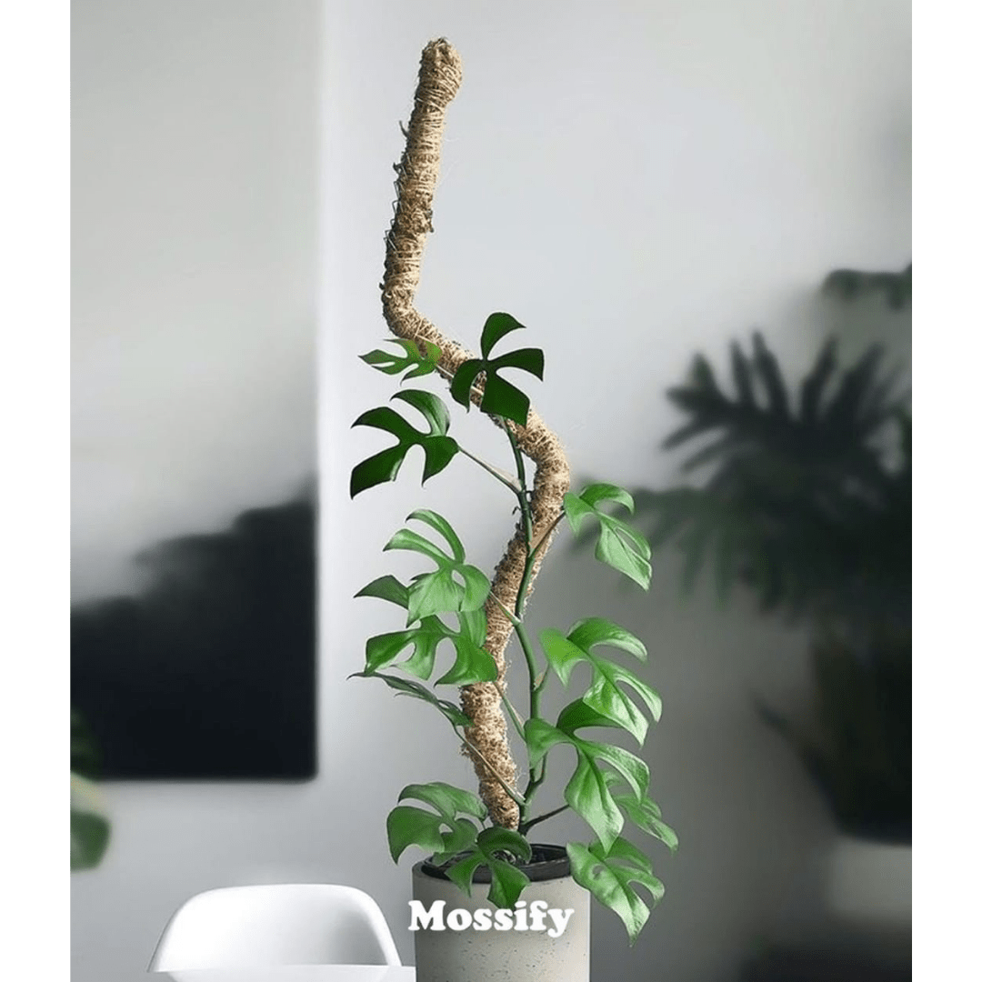  Original Bendable Moss Pole™ By Mossify (16"–54") | Flexible Plant Support
