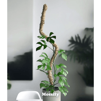  Original Bendable Moss Pole™ By Mossify (16"–54") | Flexible Plant Support
