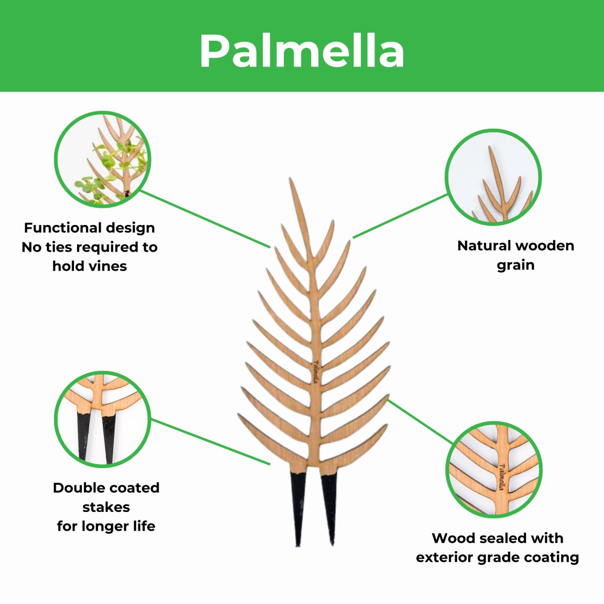  Palmella - Plant Support & Trellis