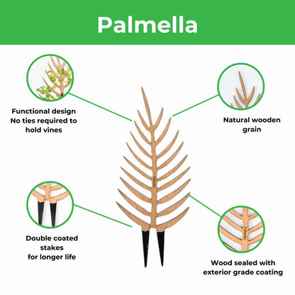  Palmella - Plant Support & Trellis