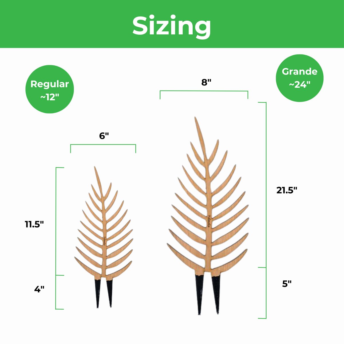  Palmella - Plant Support & Trellis