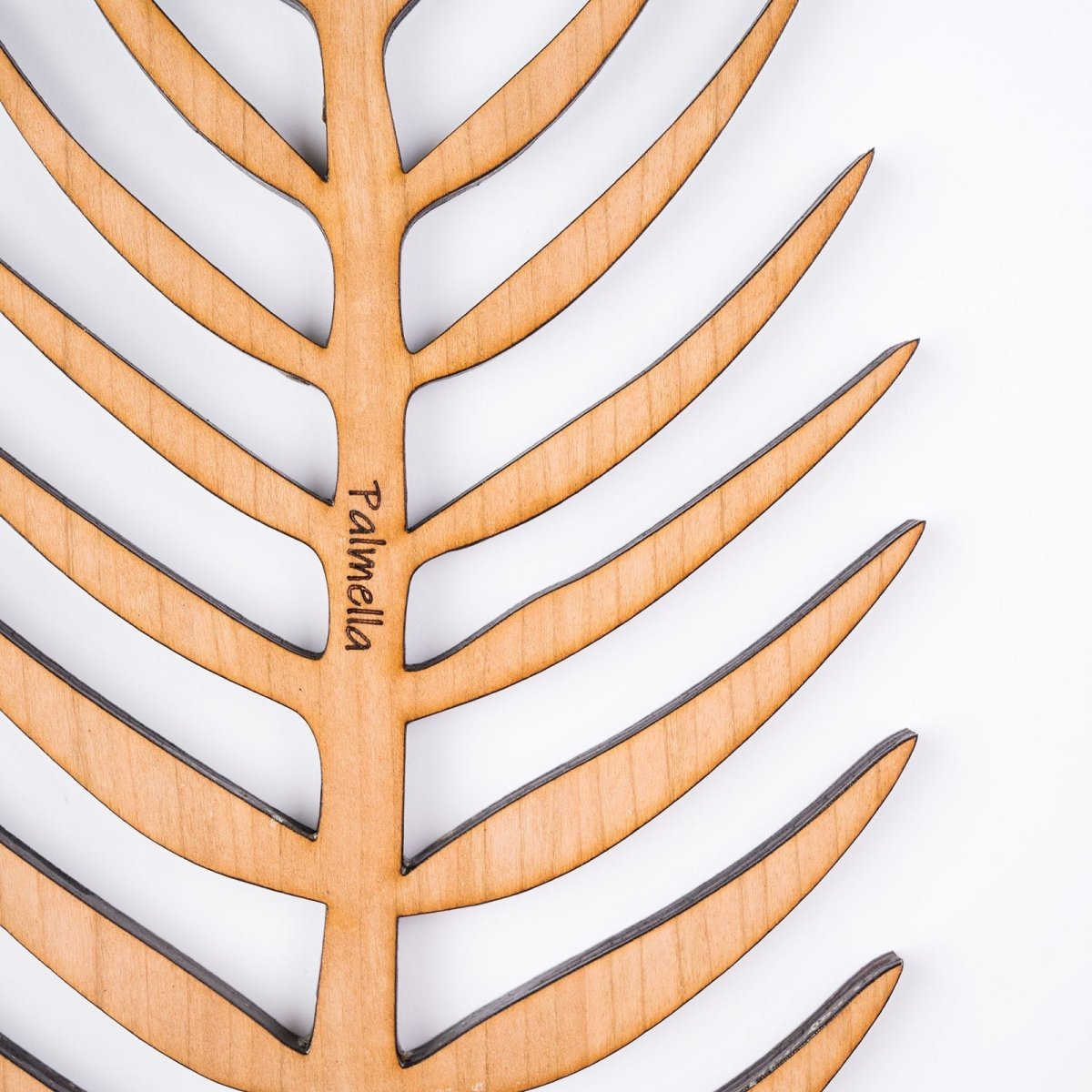  Palmella - Plant Support & Trellis