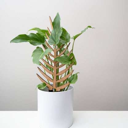  Palmella - Plant Support & Trellis