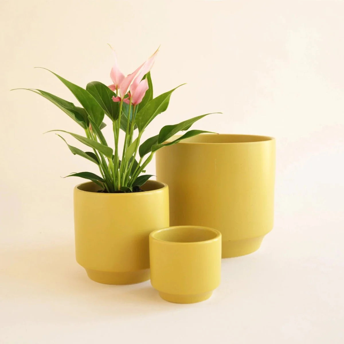  Parker Planter Pot | Palm Speckle