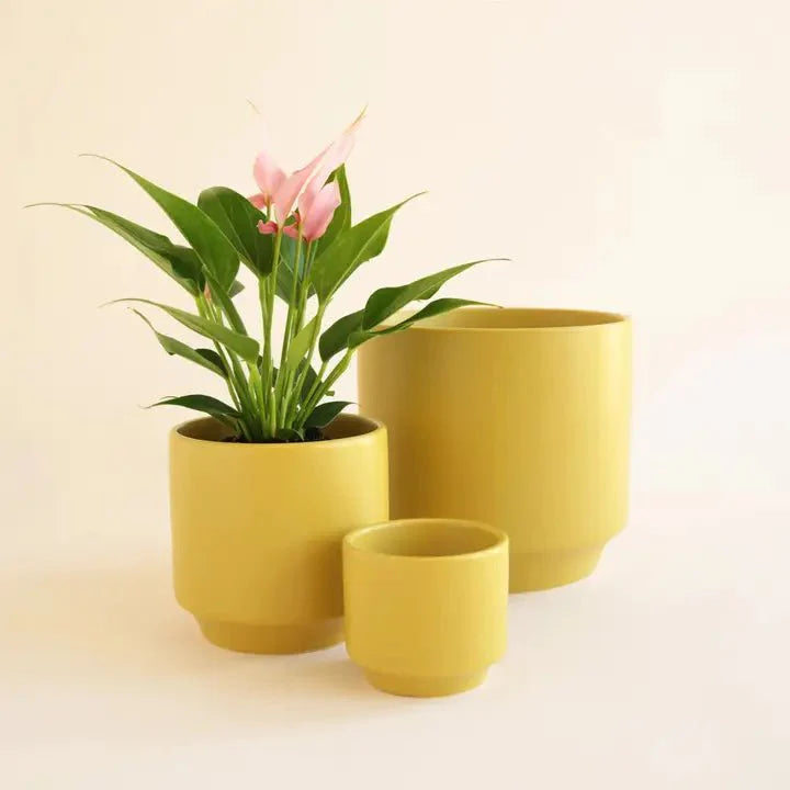  Parker Planter Pot | Palm Speckle