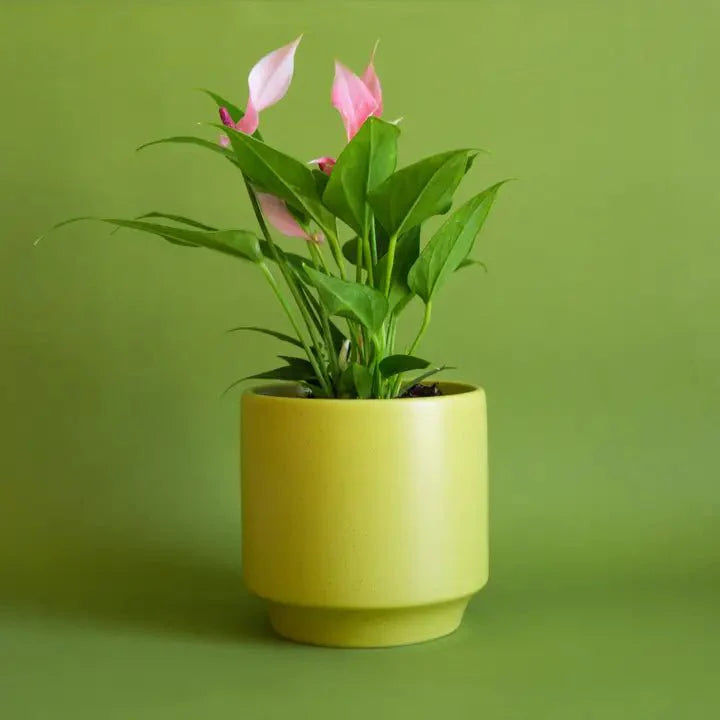  Parker Planter Pot | Palm Speckle