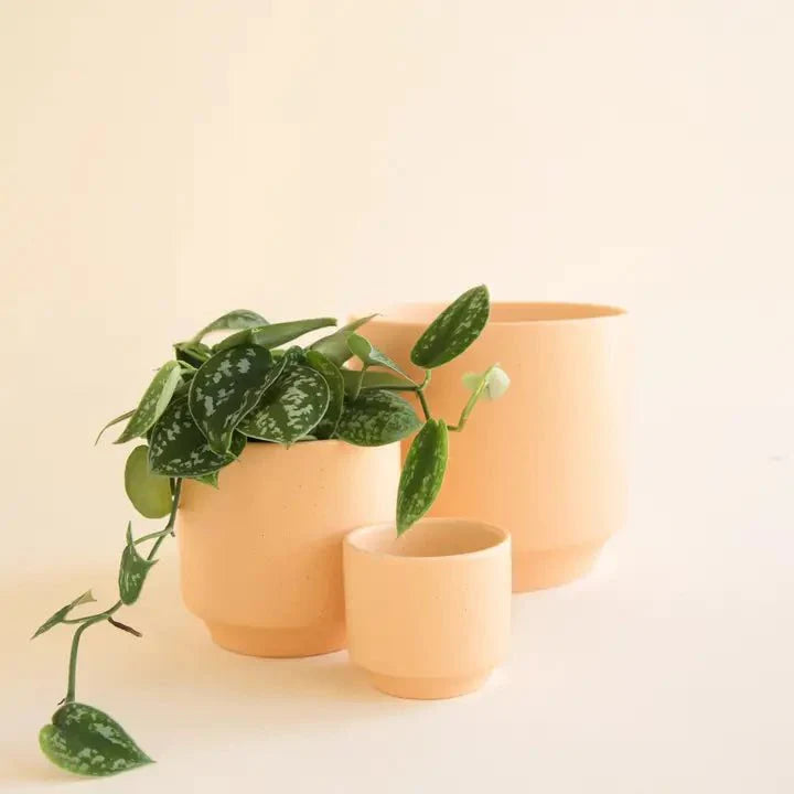  Parker Planter Pot | Sunset Speckle