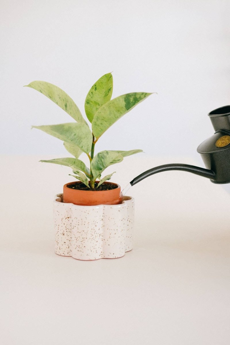  Paula Self-Watering Planter Pot – Speckled White
