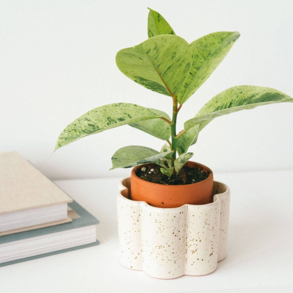  Paula Self-Watering Planter Pot – Speckled White