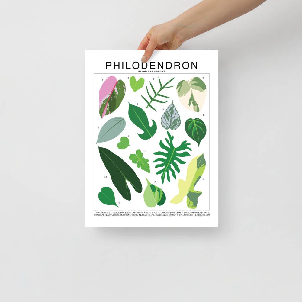  Philodendron Species ID Chart Botanical Houseplant Art Print