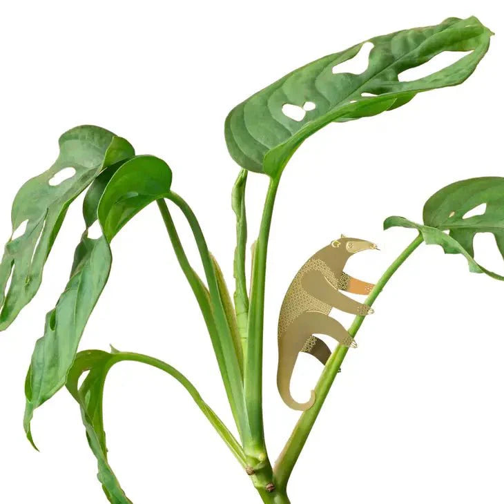  Plant Animal - Anteater