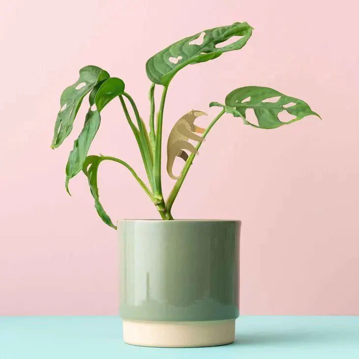  Plant Animal - Anteater