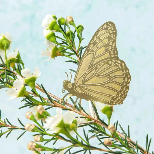  Plant Animal - Butterfly