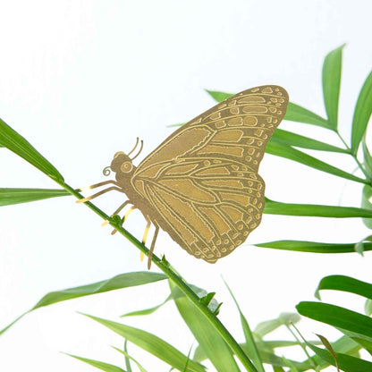  Plant Animal - Butterfly