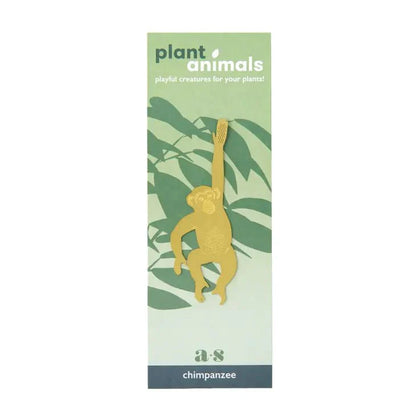  Plant Animal - Chimpanzee