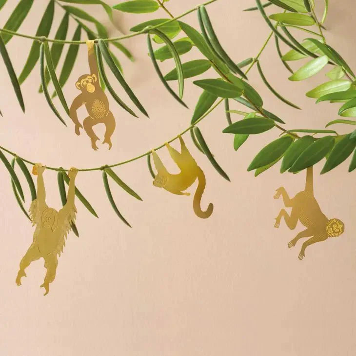  Plant Animal - Chimpanzee