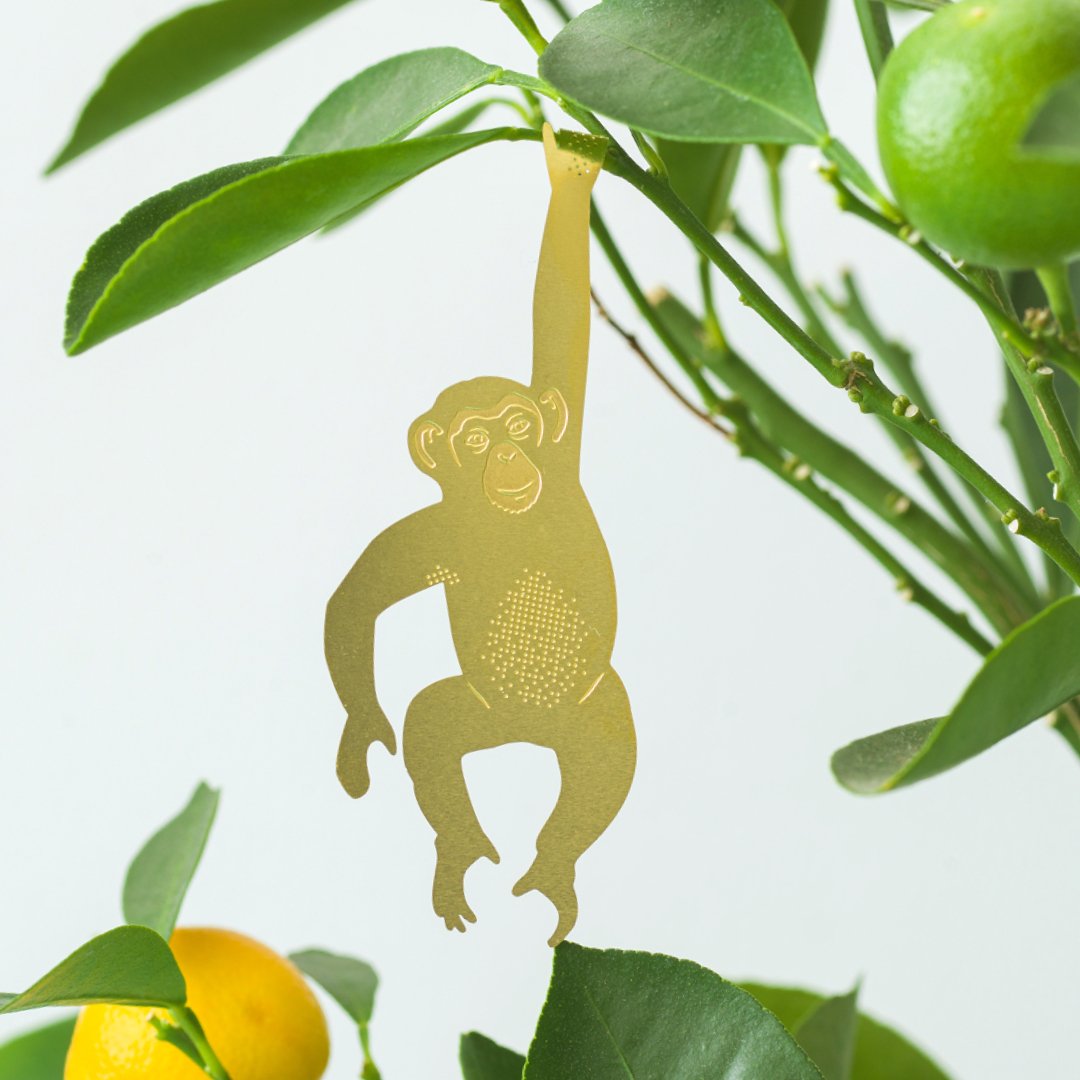  Plant Animal - Chimpanzee