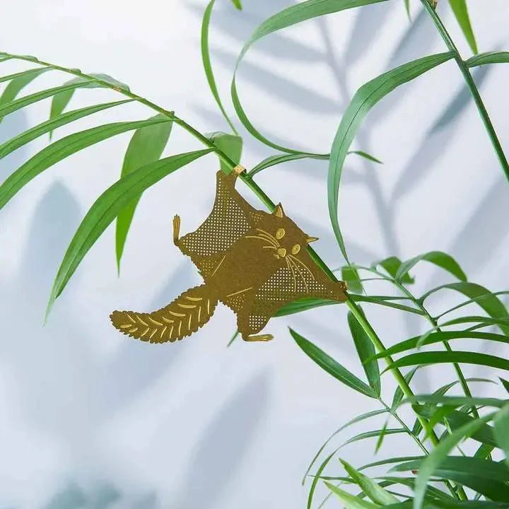  Plant Animal - Flying Squirrel