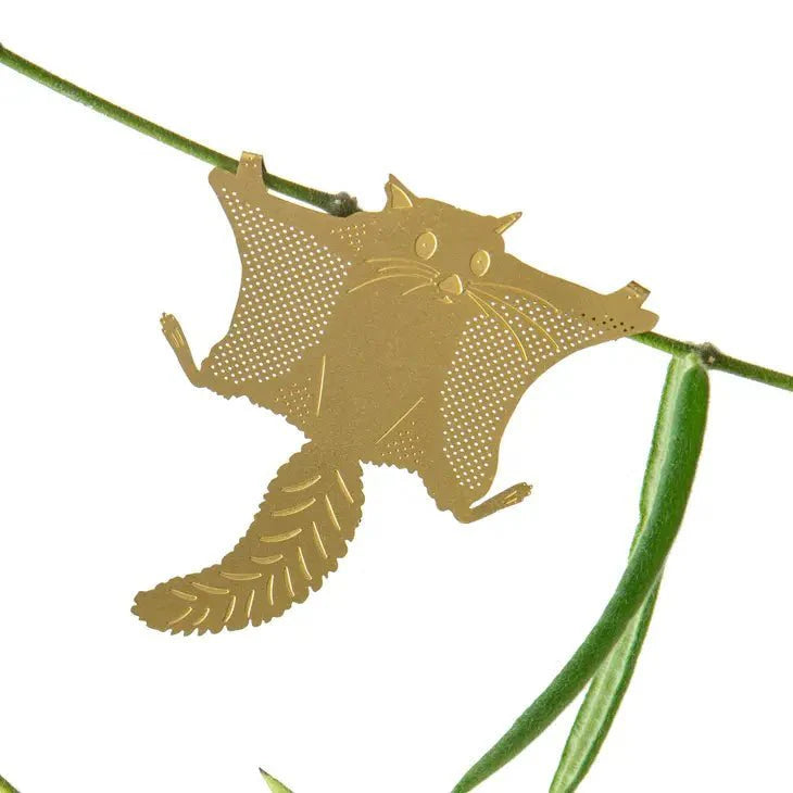  Plant Animal - Flying Squirrel