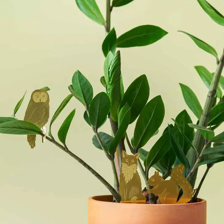  Plant Animal - Fox