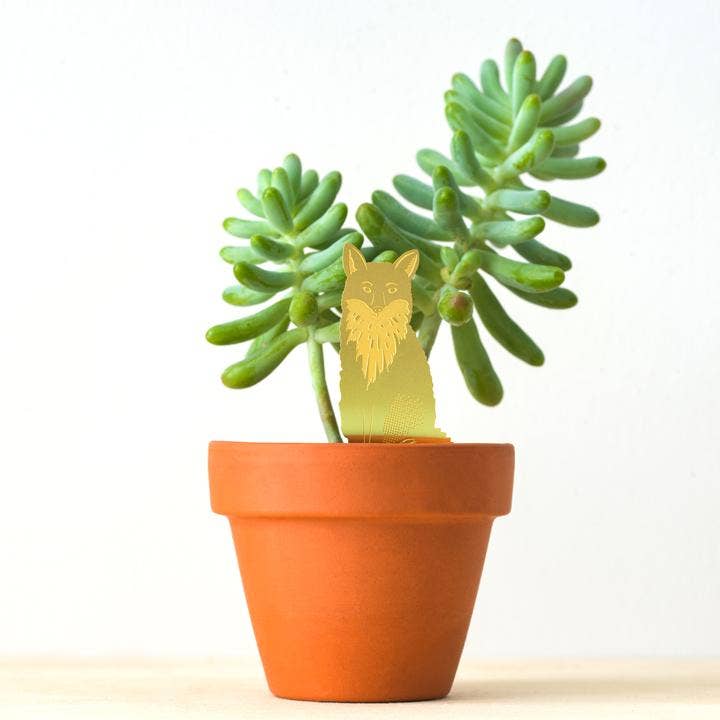  Plant Animal - Fox