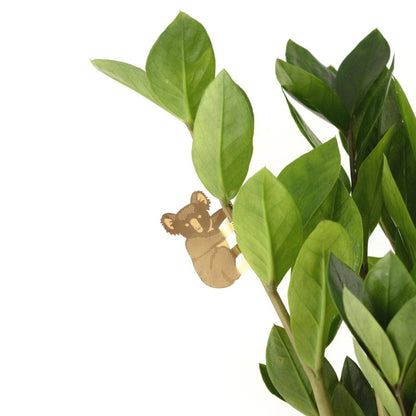  Plant Animal - Koala Bear