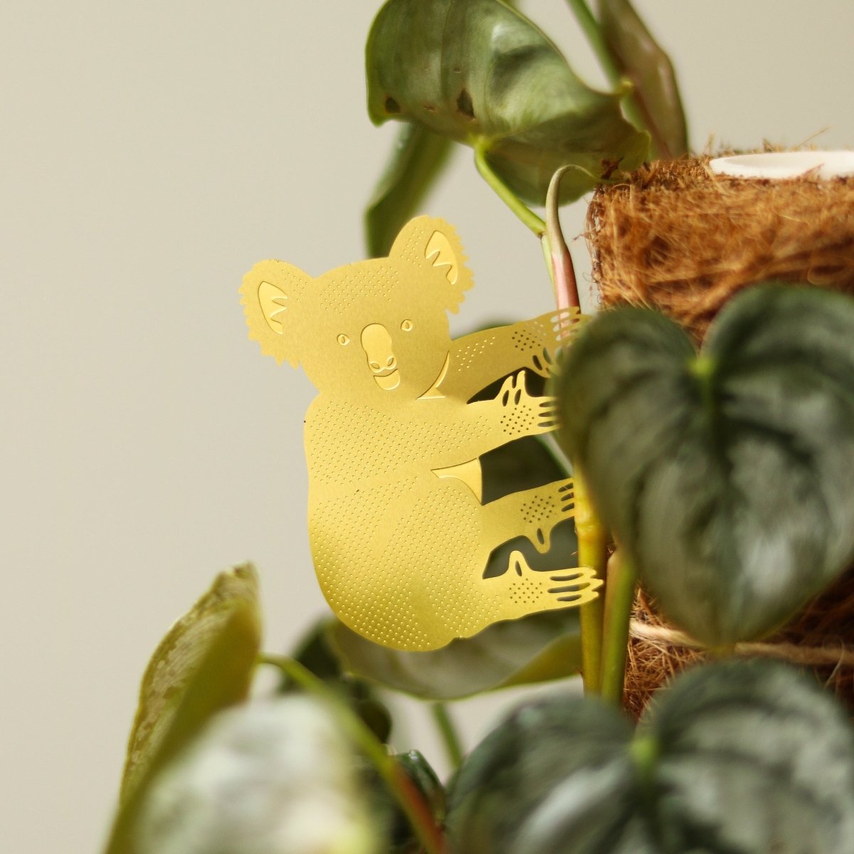  Plant Animal - Koala Bear