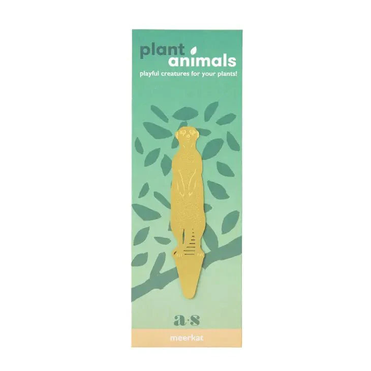  Plant Animal - Meerkat