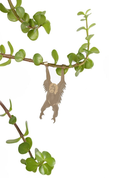  Plant Animal - Orangutan