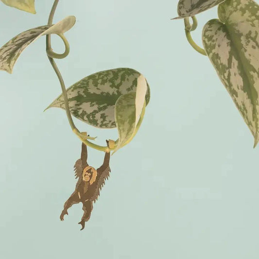  Plant Animal - Orangutan